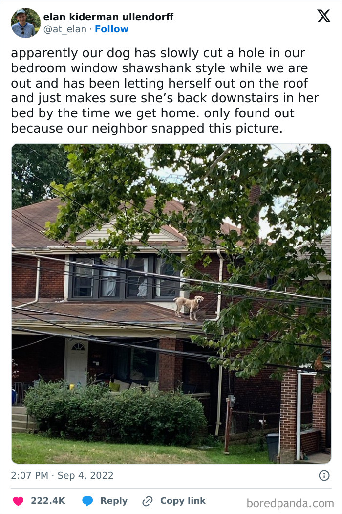 Epic-Texts-Random-Memes