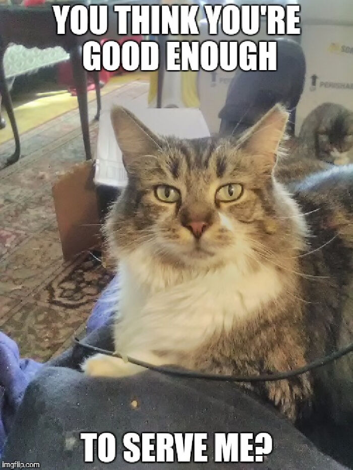 The Voice Of Authority