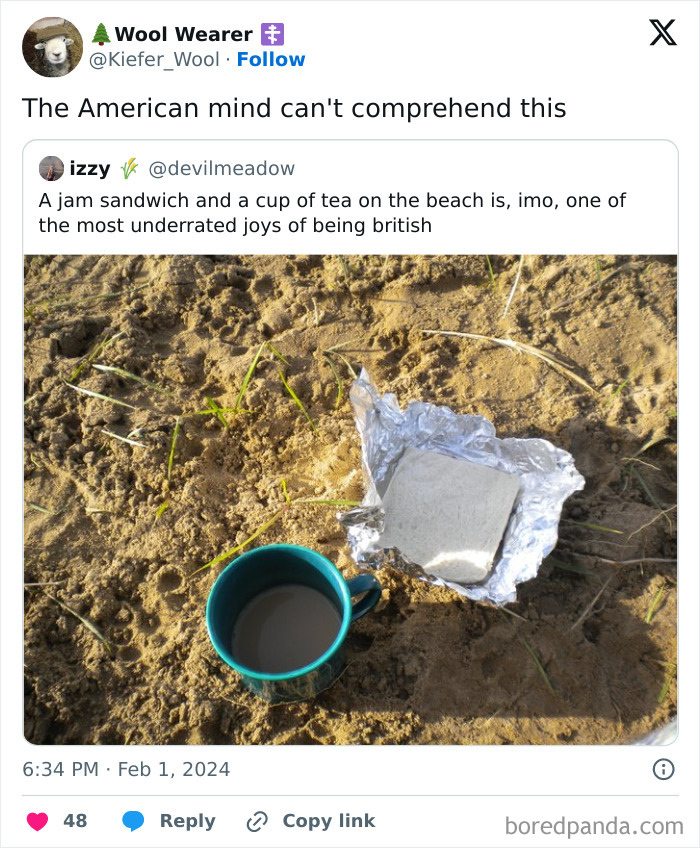 American-Mind-Cant-Comprehend-This