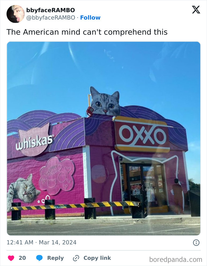 American-Mind-Cant-Comprehend-This