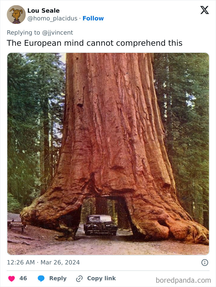 American-Things-European-Mind-Cannot-Comprehend-Meme