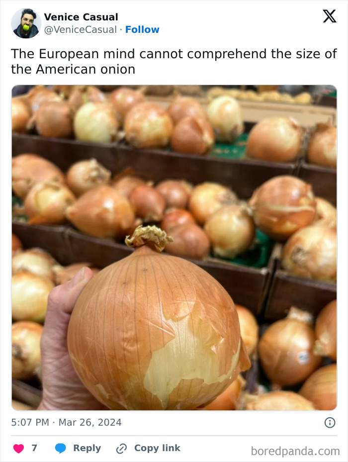 American-Things-European-Mind-Cannot-Comprehend-Meme