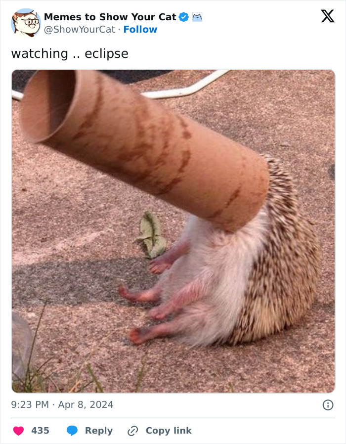 Hilarious-Solar-Eclipse-Memes