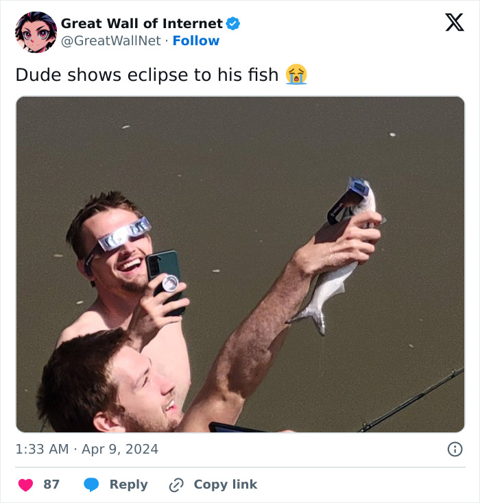 Hilarious-Solar-Eclipse-Memes