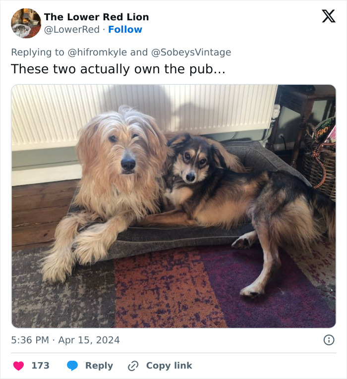 “Dog-Friendly, Child-Free” Pub That’s Been Banning Kids For 11 Years Sparks Heated Debate - 2
