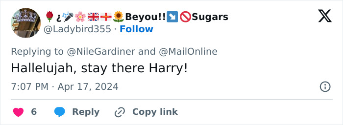 Prince Harry Makes Megxit Official By Declaring U.S. His “New Country” And Throwing Away UK Residency - 9