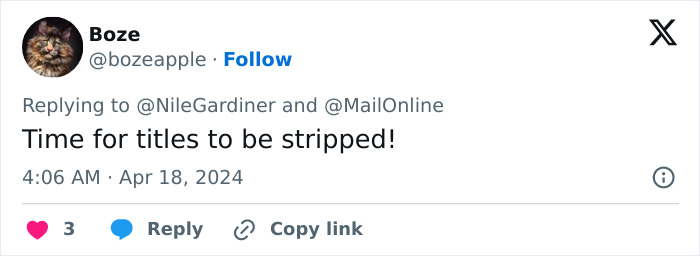 Prince Harry Makes Megxit Official By Declaring U.S. His “New Country” And Throwing Away UK Residency - 7