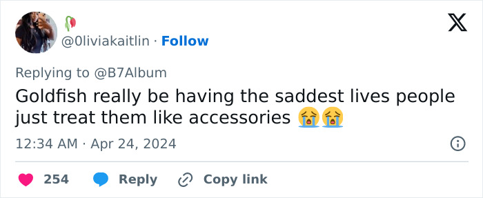 “So Ignorant And Irresponsible”: Fashion Designer Slammed For Dress Made With Living Fish “So Ignorant And Irresponsible”: Fashion Designer Slammed For Dress Made With Living Fish