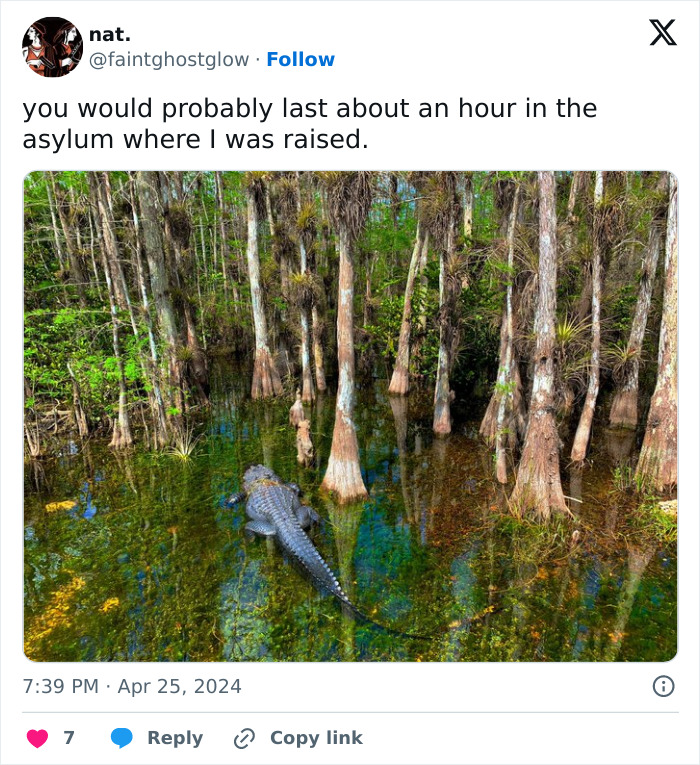 You-Wouldnt-Last-An-Hour-Memes