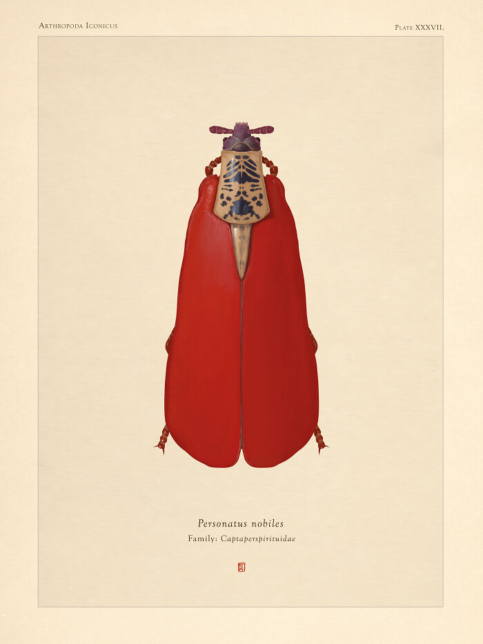 "Personatus Nobiles"