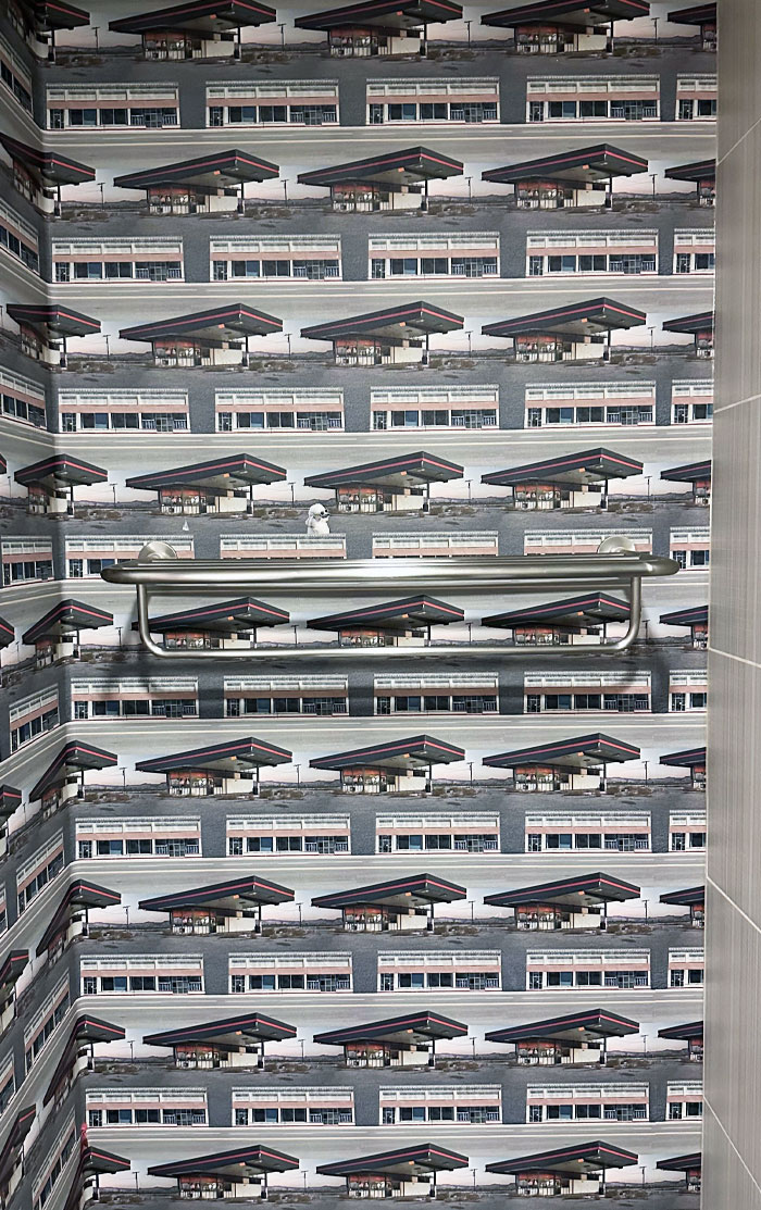 My Hotel Wallpaper Has A Random Poodle In Only One Spot