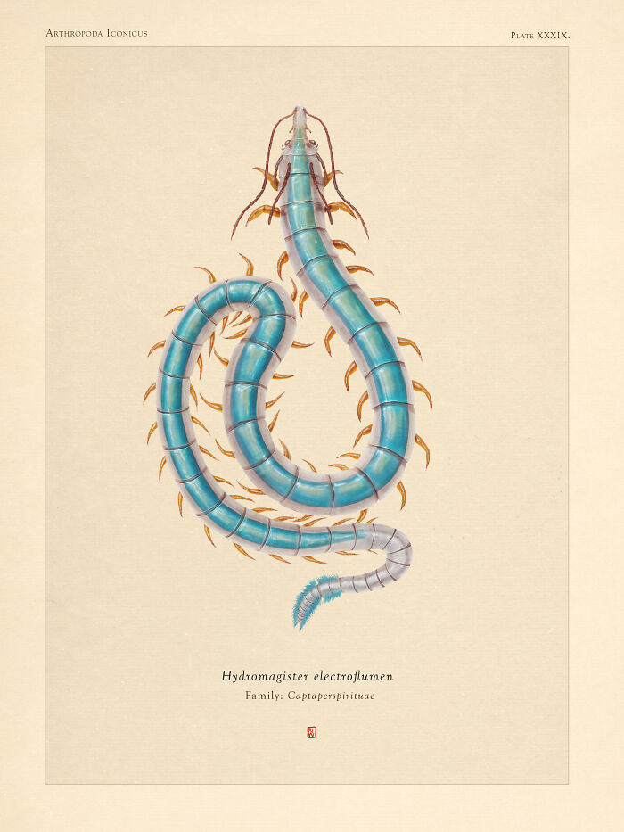 "Hydromagister Electroflumen"