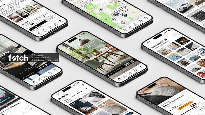 "Fetch" By Jung Joo Sohn