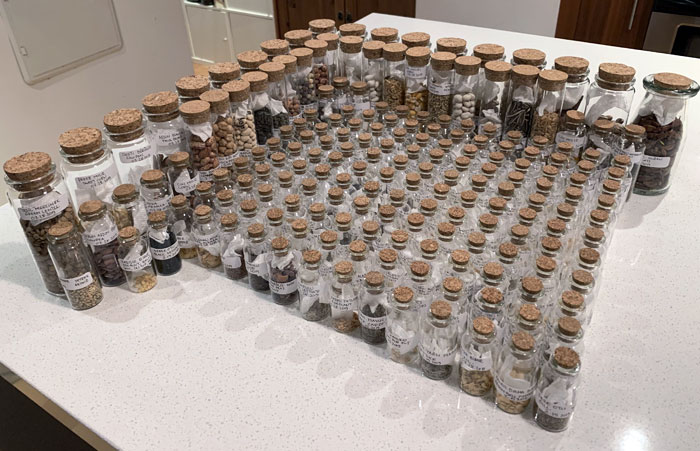 My Seed Collection. All Different Vegetable Seeds. 181 In Total And Still Growing