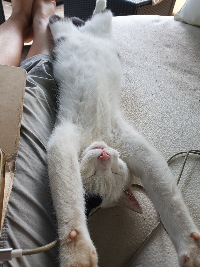 Chilling In The Garden