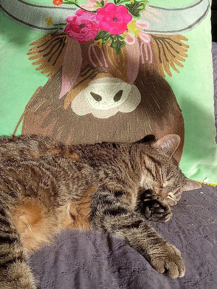 Myrtle, 21 Years Old, Enjoying The Sunbeam
