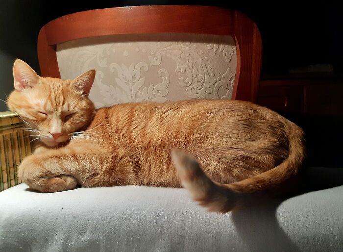 If He Can't Go In The Box, He Can Go On It