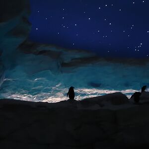 moosabinjamal avatar