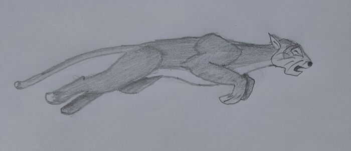 Tiger Whose Stripes Were Stolen?