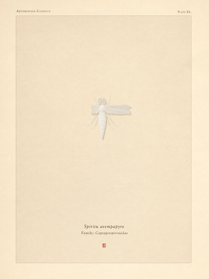 "Spiritu Avempapyro"