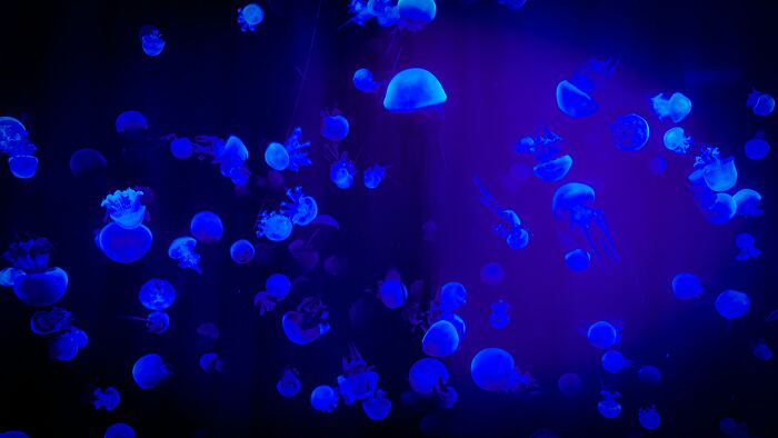 33 Facts That Might Teach Quite A Lot Of People Something New - 7