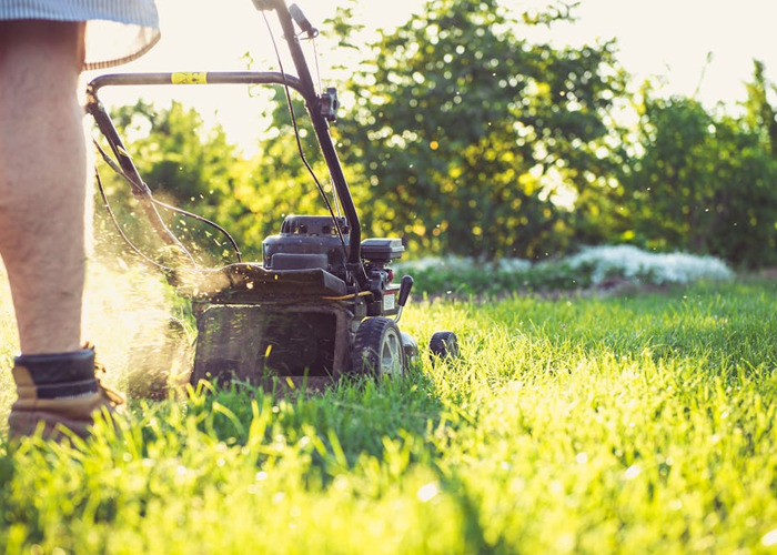 50 Of The Stupidest Reasons For Why People Got Divorced - 6