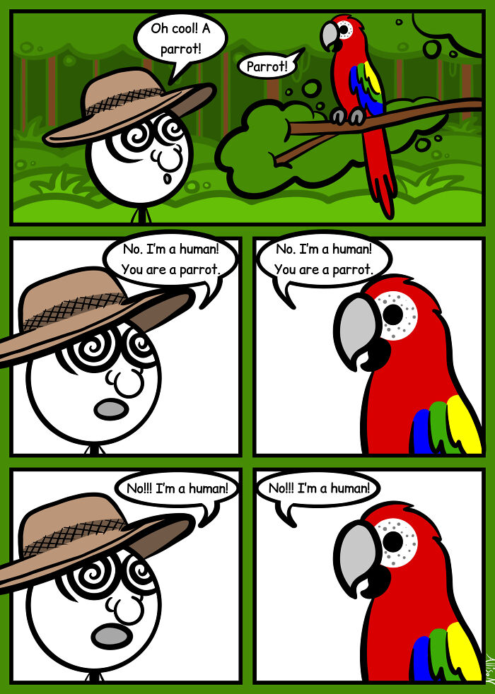 Chris Finds A Parrot! Chris Finds A Parrot!