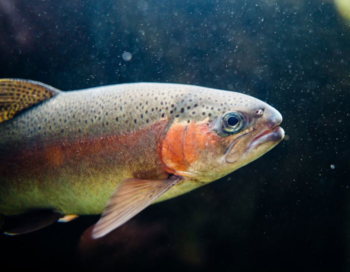 “If Lost, Please Mail To The FBI”: 30 Bizarre Things That Have Been Found In Hotel Rooms - 18