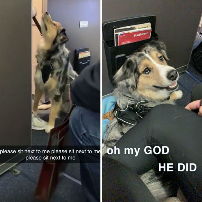 Truly A Beautiful Sequence Of Events