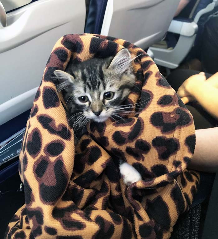 Couldn’t Ask For A Better Neighbor On My Flight