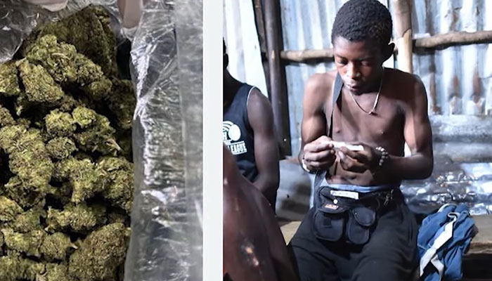 “Zombie Psychoactive” Users Begin Digging Up Graves For Ingredients, Prompting National Emergency - 3