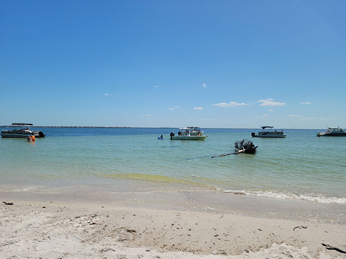 Four Friends Bought Their Own Island For $65K&mdash;And Are Flipping It For $14 Million