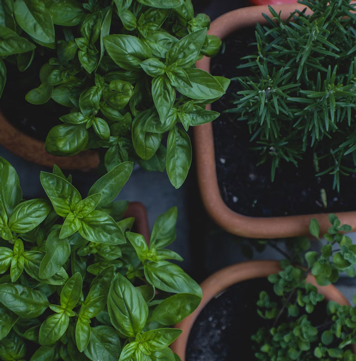 “It’s Amazing”: 40 People Are Sharing Kitchen Tips And Tricks They Learned Throughout The Years