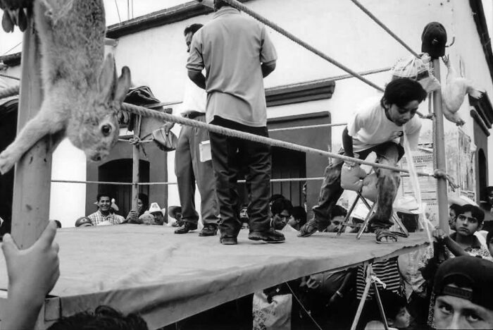 Urban Adventures: Capturing Life's Unscripted Moments Through Street Photography (42 New Pics)