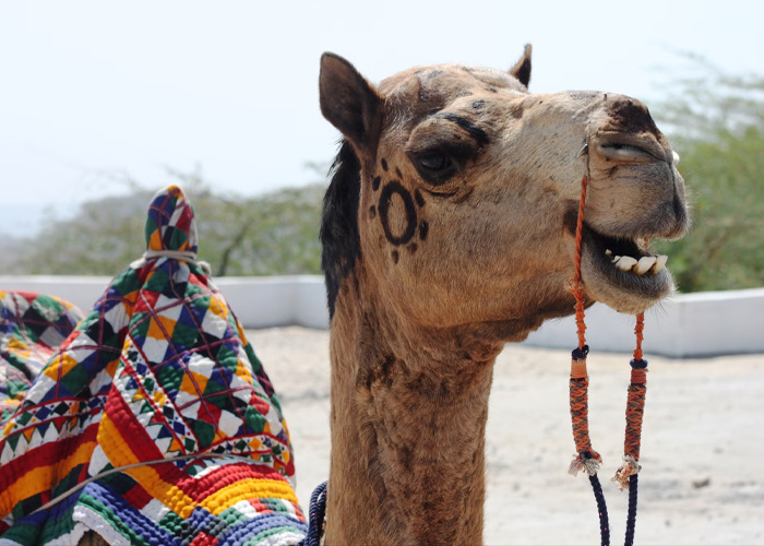 30 People Are Sharing The Worst Travel Destinations That Are 100% Not Worth The Hype - 8