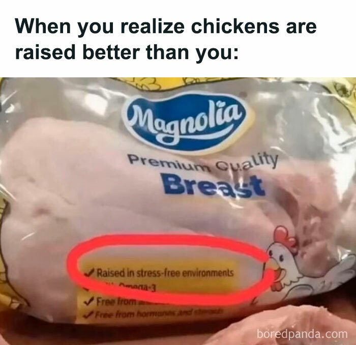 Food-Memes-Famishedclub