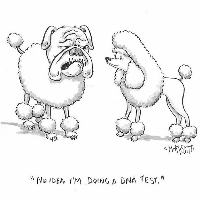 From Hippie Commune To Cartoon Canvas: The Colorful Journey Of Sarah Morrissette