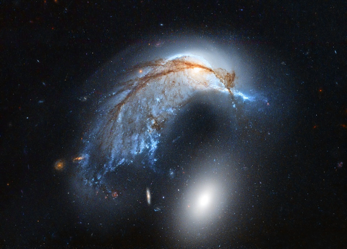 Porpoise Galaxy