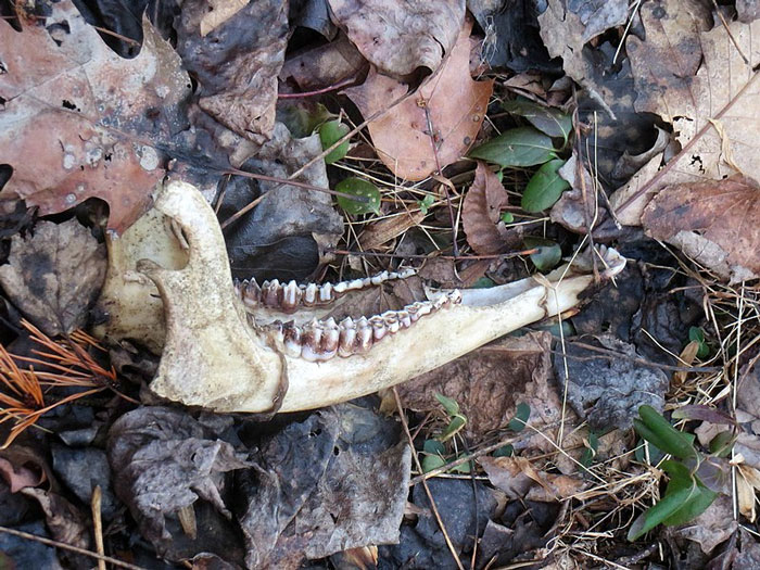 “He Absolutely Melts”: 30 Cute And Adorable Habits Of People’s Significant Others