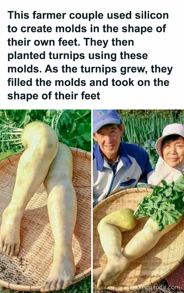 "I Feel Personally Attacked By This Meme": 40 Random Funny Memes That Hit Too Close To Home