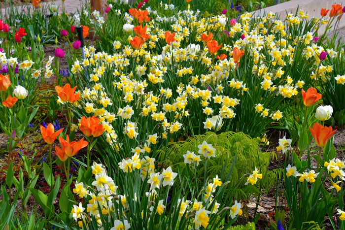 Tenant Gets Kicked Out As His Garden Is Used To Bump Up Rent, He Takes It With Him On His Way Out Tenant Gets Kicked Out As His Garden Is Used To Bump Up Rent, He Takes It With Him On His Way Out
