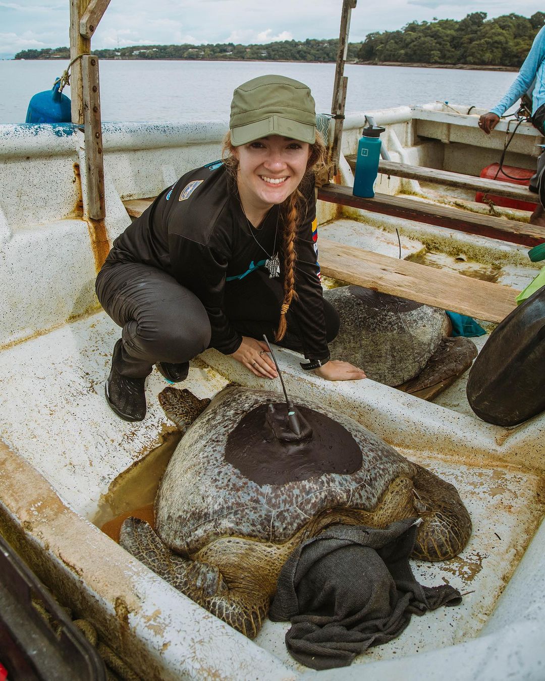 Turtle Tagging Is Making An Important Contribution To Protect Vulnerable Marine Species - 8