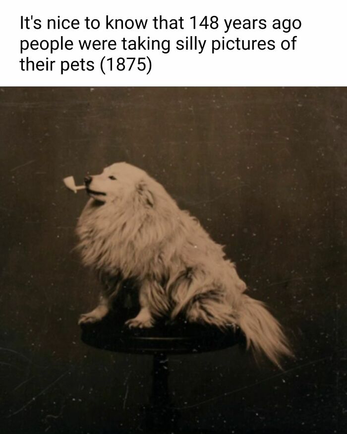 Funny Art Memes From “Art Memes Central” (New Pics)