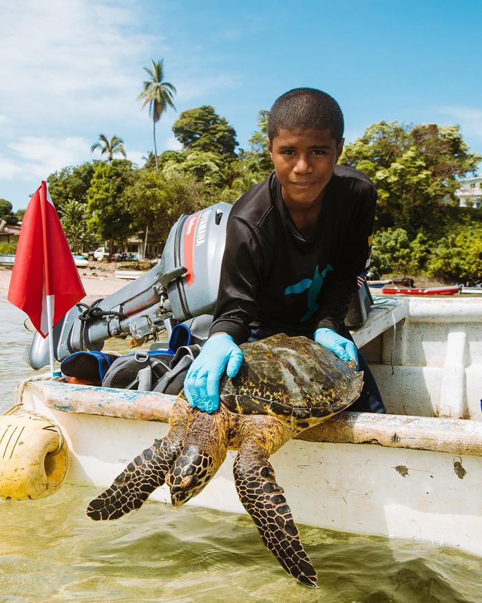 Turtle Tagging Is Making An Important Contribution To Protect Vulnerable Marine Species - 12