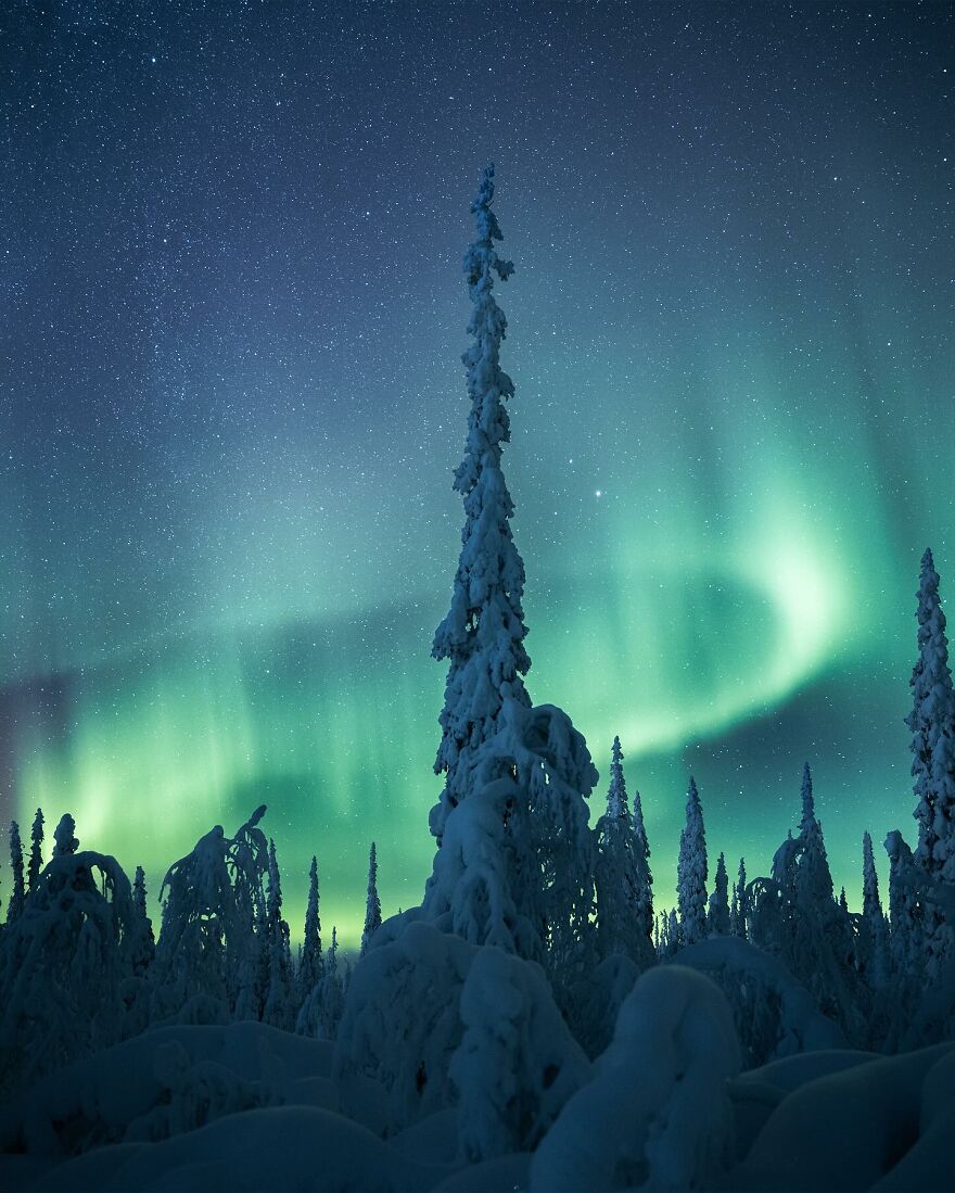 Into The Wild With Daniel Ernst: Capturing Nature's Majesty