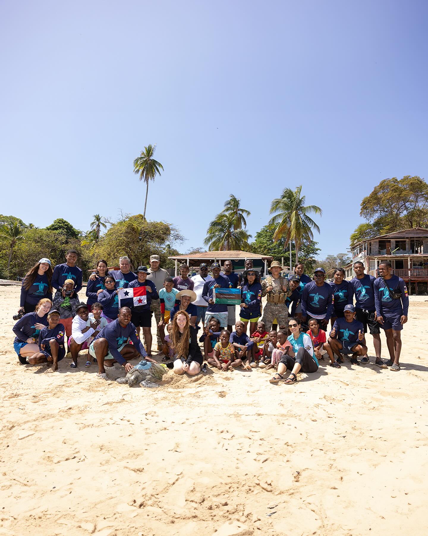 Turtle Tagging Is Making An Important Contribution To Protect Vulnerable Marine Species - 15