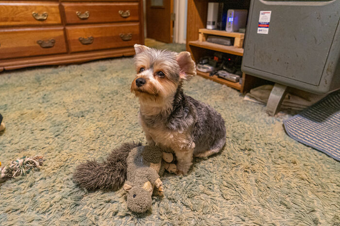 30 People Shared April Fools’ Pranks That Are Too Good Not To Try