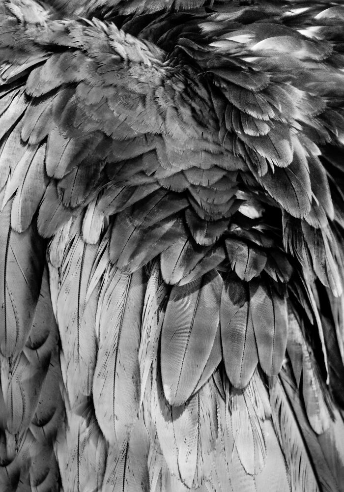 Some Of My Favorite Black And White Photos I've Taken In The Last 18 Years