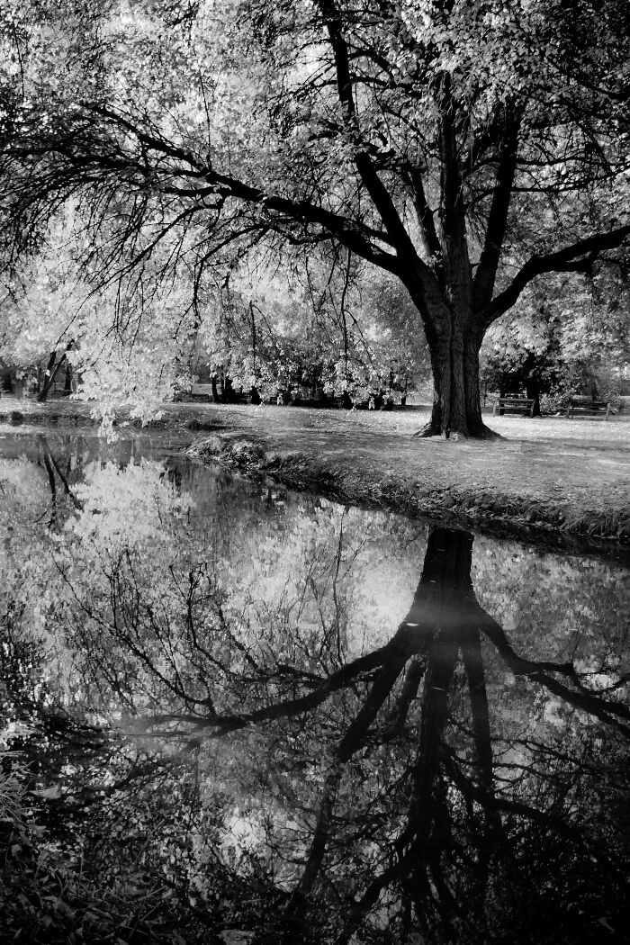 Some Of My Favorite Black And White Photos I've Taken In The Last 18 Years