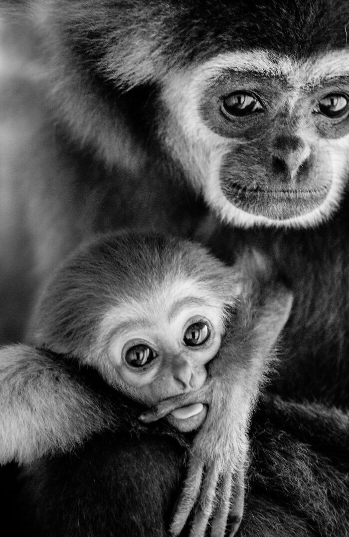 Some Of My Favorite Black And White Photos I've Taken In The Last 18 Years